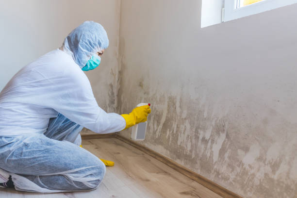Crawl Space Mold Remediation treatment of floor joists in Port Jefferson